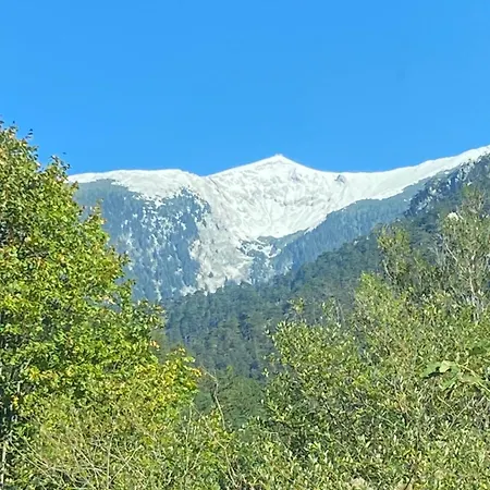 Rauraklalm