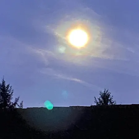 Rauraklalm * Schwarzau im Gebirge