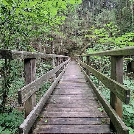 Rauraklalm Schwarzau im Gebirge